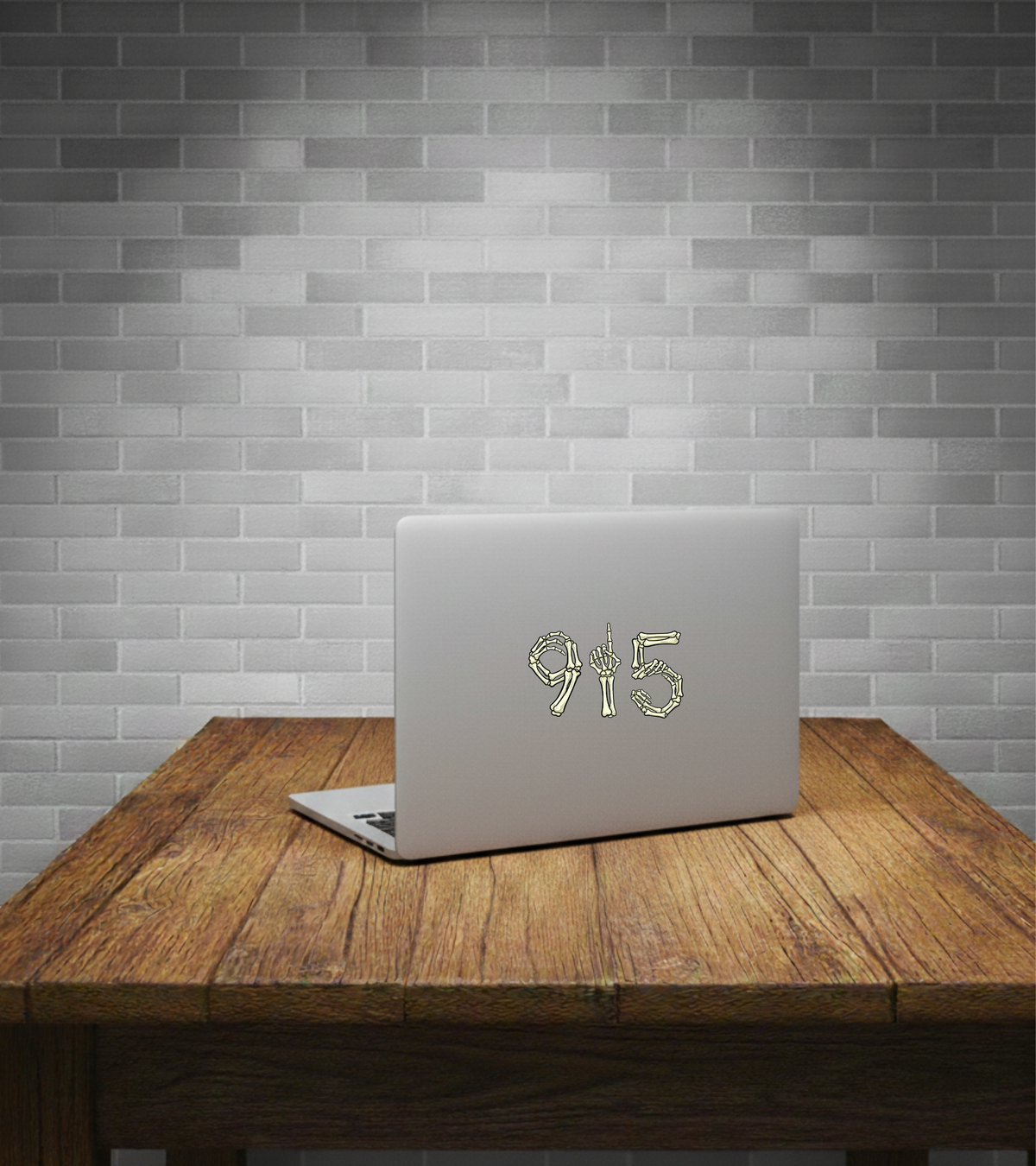 915 skeleton bones on laptop