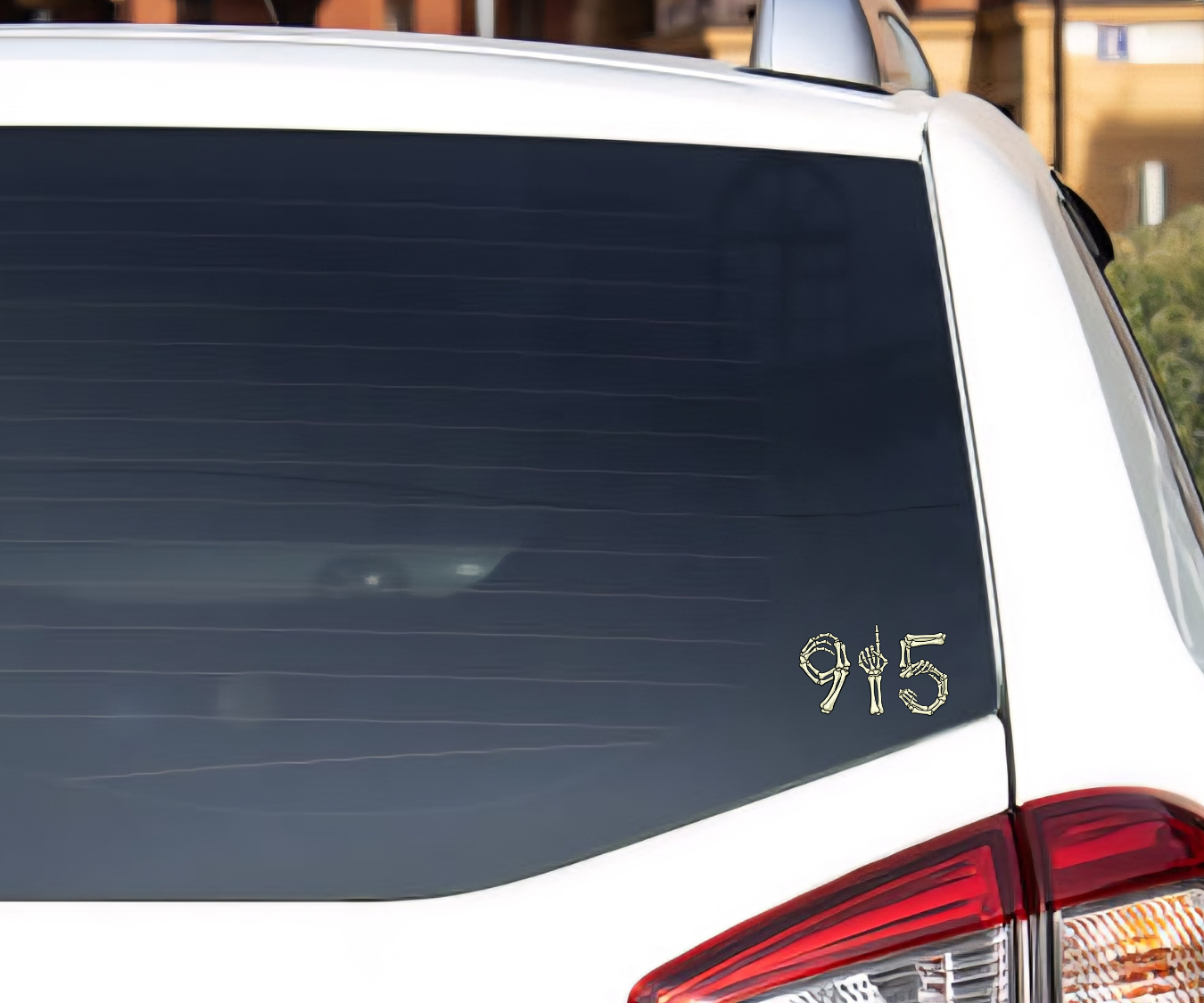 915 skeleton bones on car rear window